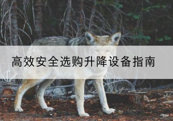张家川升降货梯厂家推荐-*安全选购升降设备指南