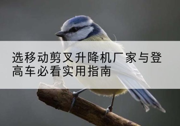 张家川电动升降机厂家-选移动剪叉升降机厂家与登高车必看实用指南