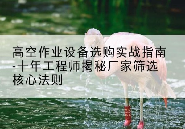 张家川剪叉式升降机厂家-高空作业设备选购实战指南-十年工程师揭秘厂家筛选核心法则
