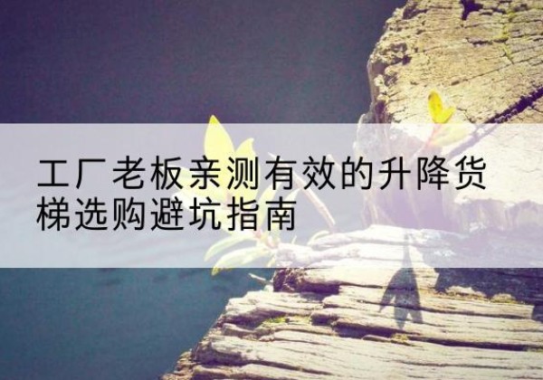 张家川升降货梯怎么选-工厂老板亲测有效的升降货梯选购避坑指南